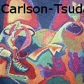 CindiaCarlsonSueCarlson-Tsuda